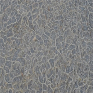 Yangtze River Septarium Limestone Tiles, China Grey Limestone