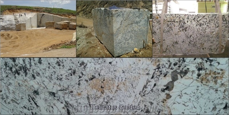 Delicattus Gold Granite Block, Brazil White Granite
