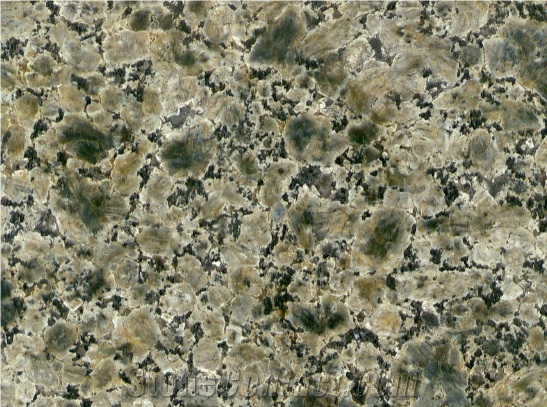 Blue Leopard Green Granite Slabs & Tiles