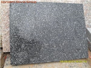 G308 Laizhou Black Granite Slabs & Tiles