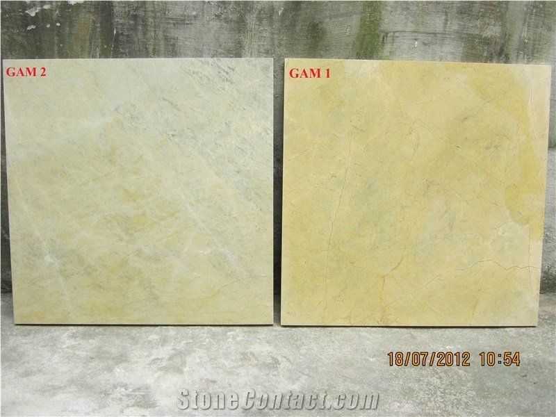 Viet Nam Marble Slabs & Tiles