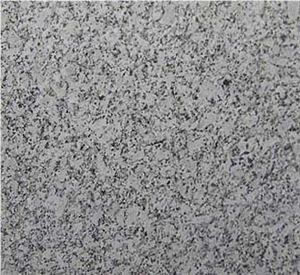 P White Granite Slabs & Tiles, India White Granite