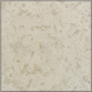 Trani Fiorito Limestone Tiles, Italy Beige Limestone