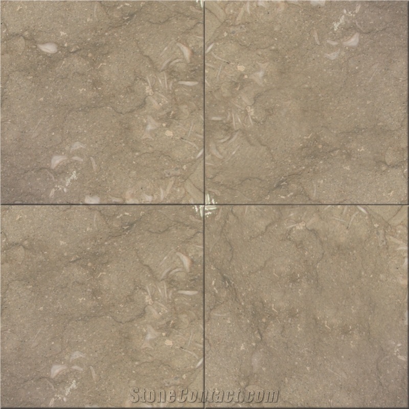 Grigio Fossile Limestone Tiles, Turkey Grey Limestone