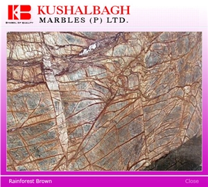 Rain Forest Brown Marble / Bidasar Brown Marble / Cafe Forest Brown Slabs & Tiles