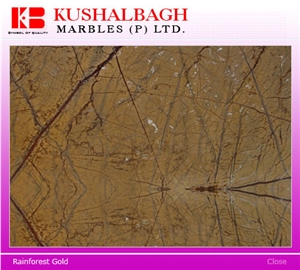 Rain Forest Gold Marble / Bidasar Gold Marble Slabs & Tiles, India Yellow Marble