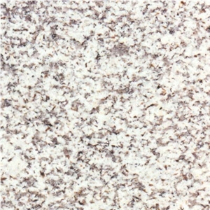 Cinza Evora Granite Tiles, Portugal Grey Granite