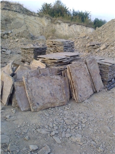 Fossil Stone, Brown Quartzite Flagstone