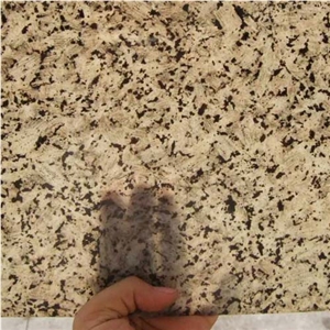 Translucent Stone Granite Veneer Slabs & Tiles