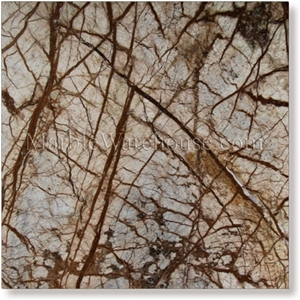 Rain Forest Brown Marble Polished Tile