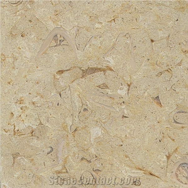 Belgian Truffles Limestone Tiles, Egypt Beige Limestone