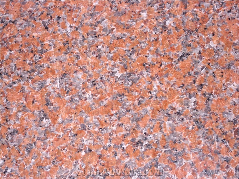 Maple Red Granite, China Red Granite Slabs & Tiles