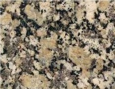 China Giallo Fiorito Granite Slabs & Tiles,China Yellow Granite