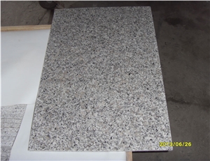 Cheap Grey Colors Bianco Sardo Granite G640 Thin Tile Flooring Wall Cladding 40x60