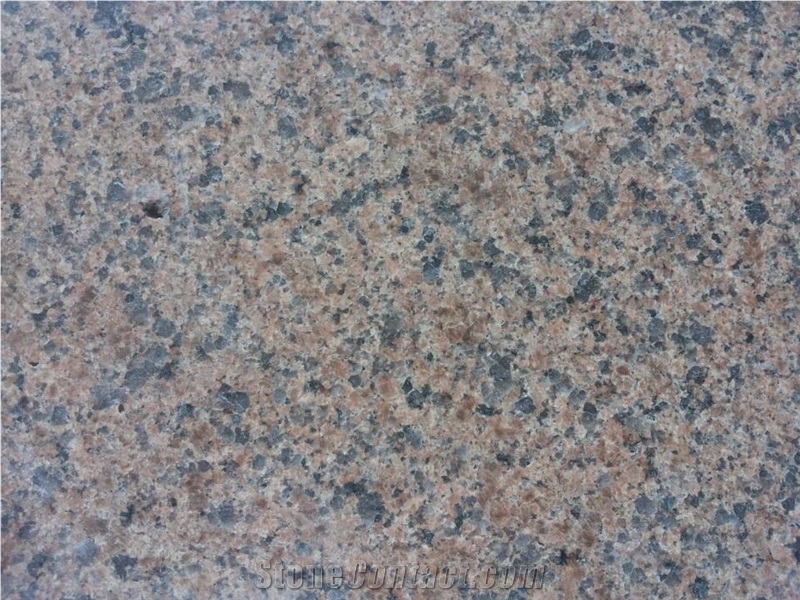 Golden Leaf/Chinese Tropical Brown Flooring/Walling Chinese Brown Granite Tiles & Slabs