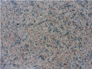 Golden Leaf/Chinese Tropical Brown Flooring/Walling Chinese Brown Granite Tiles & Slabs