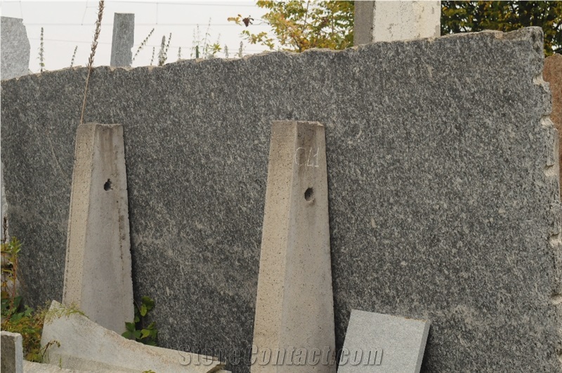 Serizzo Scuro Valmasino Granite Quartzite Slabs & Tiles