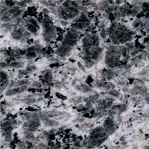 G3742 Leopard Flower Granite Tiles & Slab