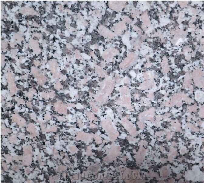 China Granite G504 Slabs and Tiles