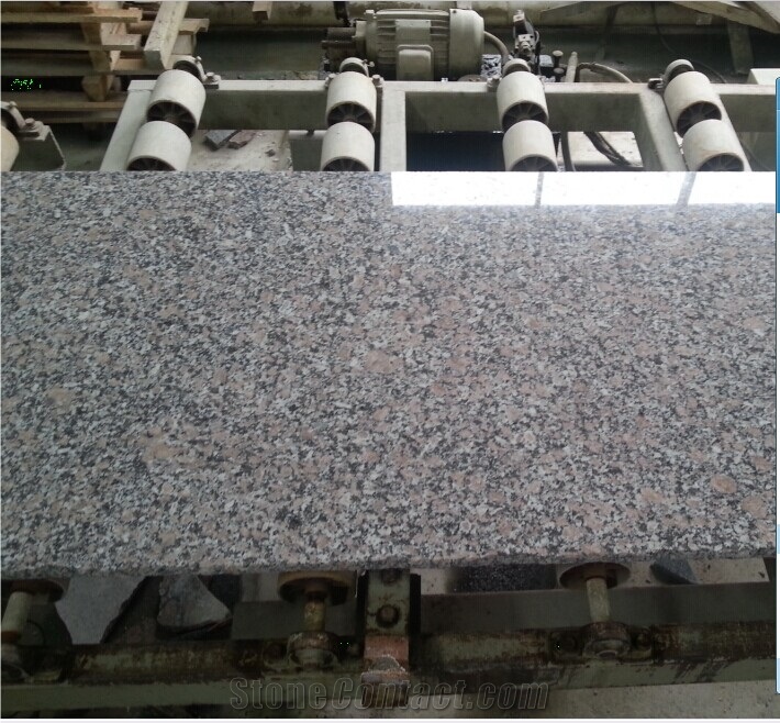 China Granite G504 Slabs and Tiles