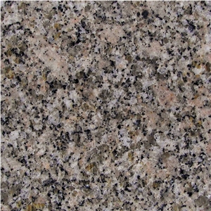 Bala Flower Granite Slab, India Brown Granite