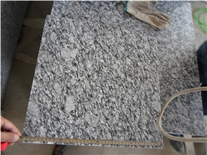 Spary White Granite Polished Tile, China Grey Granite