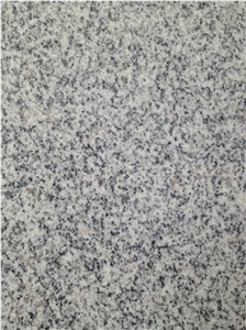 Polished G603 Granite Slabs & Tiles, China Grey Granite