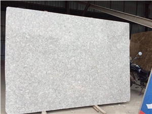 Polished Shells Reef Beige Limestone Slabs, Tiles,Thin Panels