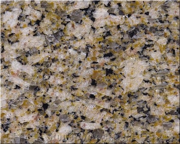 Amarllo Real Granite Used for Outddoor Flooring
