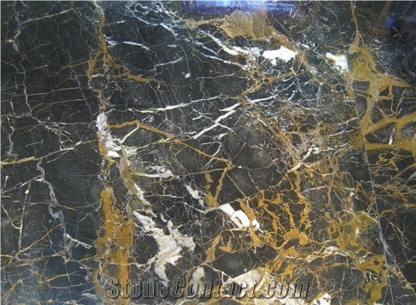 Golden Black Marble Slabs & Tiles, Iran Black Marble