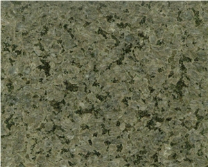 Chengde/Yanshan Green Flooring/Walling Chinese Green Granite Tiles & Slabs