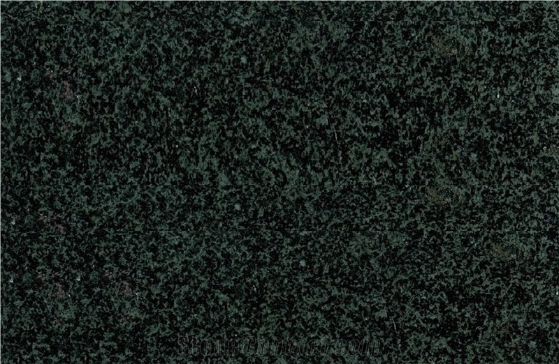 Ever Green Flooring/Walling Chinese Green Granite Tiles & Slabs