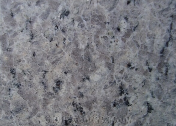 G439 Ocean Blue Flooring/Walling Chinese White/Grey Granite Tiles & Slabs, China Grey Granite