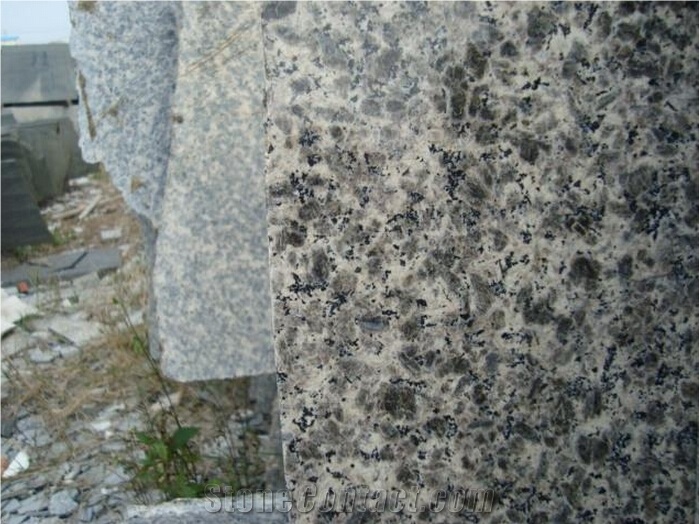 Leopard Skin Brown Flooring/Walling Chinese Brown Granite Tiles & Slabs