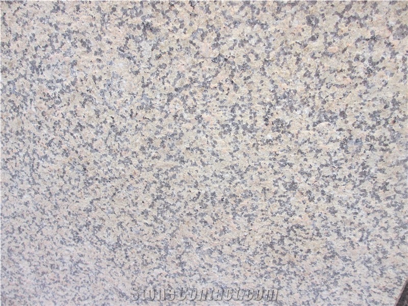 Supply China Yellow Granite Tile with Flamed Surface