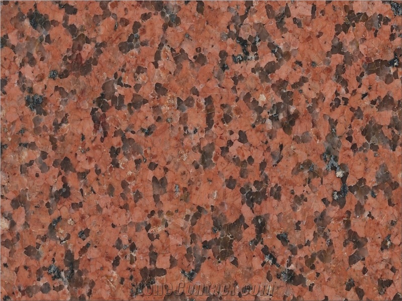 Classic Red Granite , Red India Granite Tile & Slab