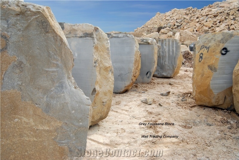 Grey Foussana Marble Blocks from Tunisia Good Prices