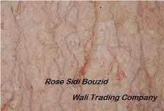 Pink Sidi Bouzid Tiles and Slabs, Pure Veined Pink Marble from Tunisia