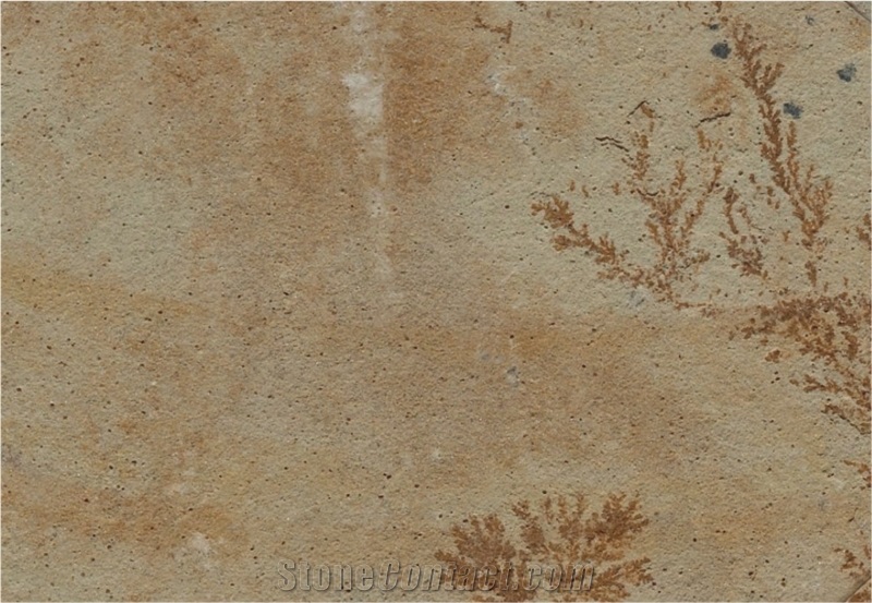 Fossil Mint Sandstone Slabs&Tiles