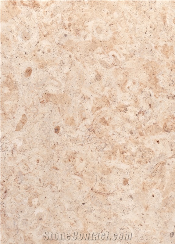 Bf1400 Honed / Hebron Bone Limestone Tiles and Slabs from Holyland