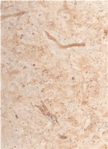 Bf1400 Honed / Hebron Bone Limestone Tiles and Slabs from Holyland