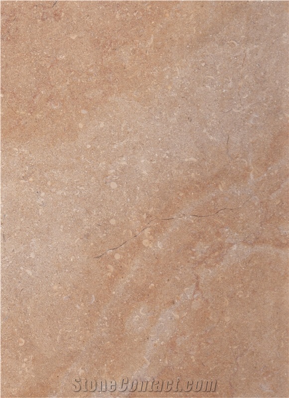 Kc1150 Polished / Limestone Tiles and Slabs from Holyland