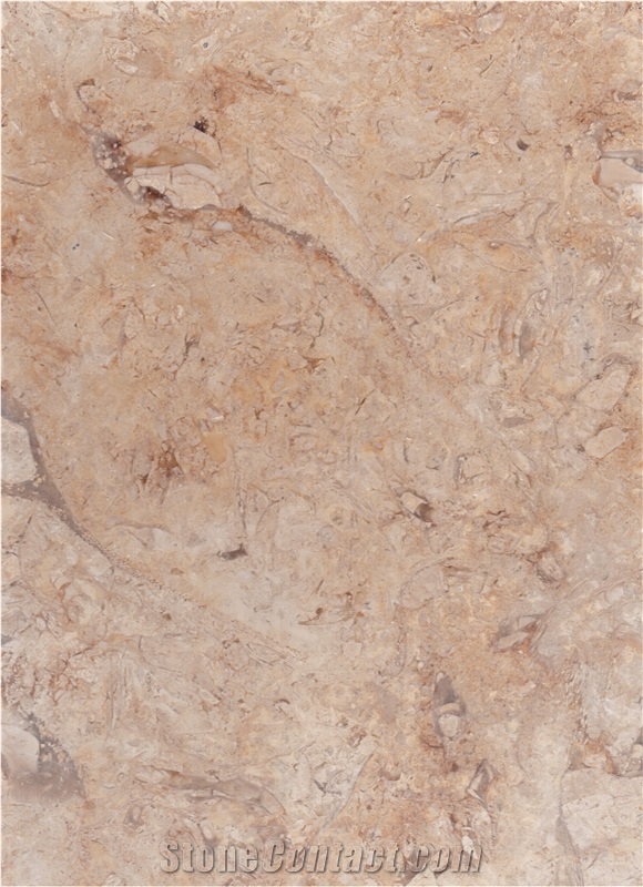 Rg2150 Mix Honed / Jerusalem Limestone Tiles and Slabs from Holyland