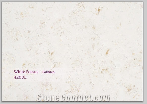 White Fossus 4200l Limestone Polished