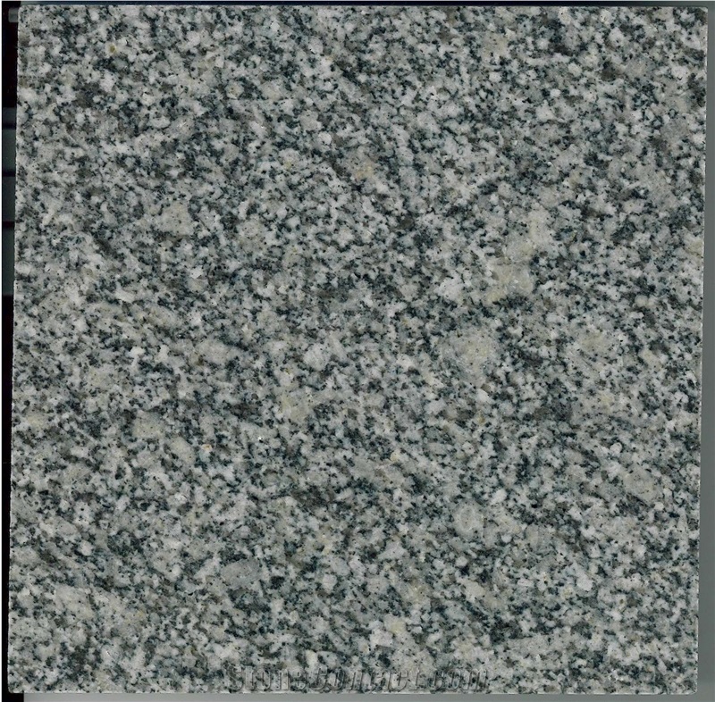 Cheap Grey Pearl Grey ,Bianco Sardo Grey Granite/ Baoshan Grey Granite Tiles