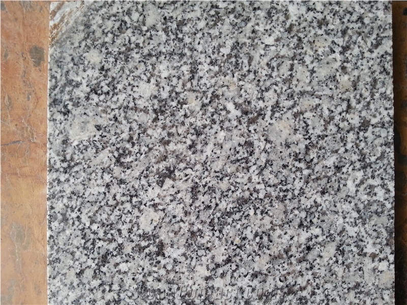 Cheap Grey Pearl Grey ,Bianco Sardo Grey Granite/ Baoshan Grey Granite Tiles