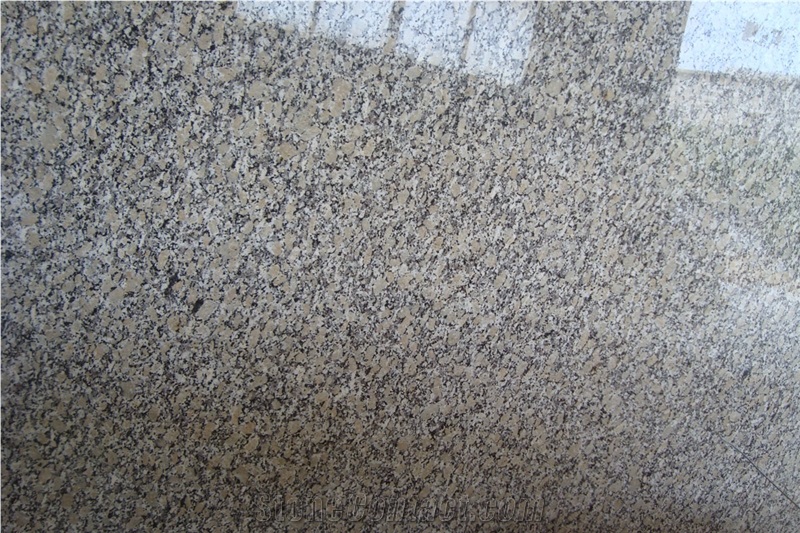 China Giallo Fiorito Granite Tiles & Slabs,China Yellow Granite
