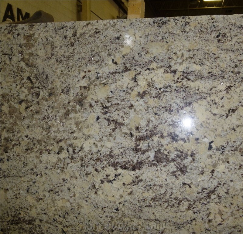 Alaska White Granite Slabs&Tiles