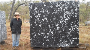 Calacatta Crystal Marble and Black Fossil Marble Blocks