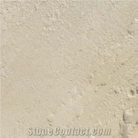 Mint White Sandstone Slabs & Tiles, India White Sandstone